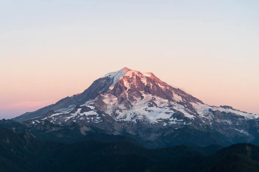 Landscaping in Federal Way WA