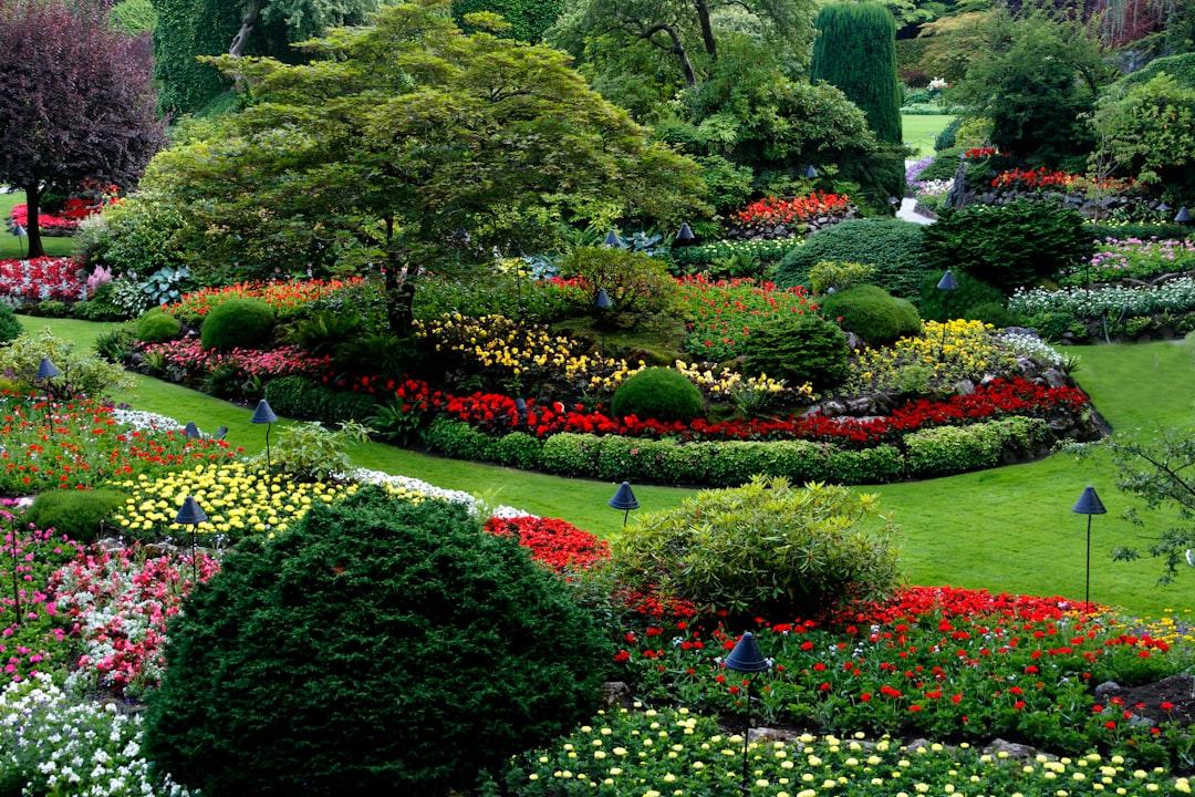 Landscaping in Yarrow Point WA