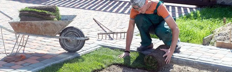 Landscaping in Renton WA