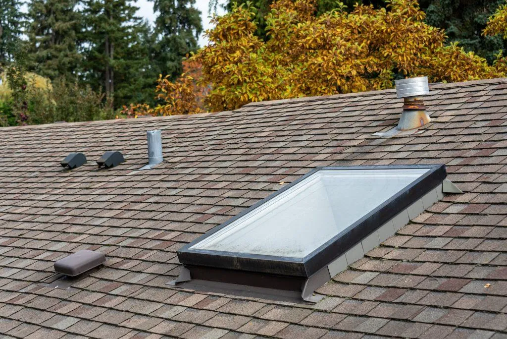 Rooftop Skylight 