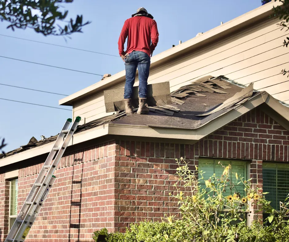 Landscape Construction