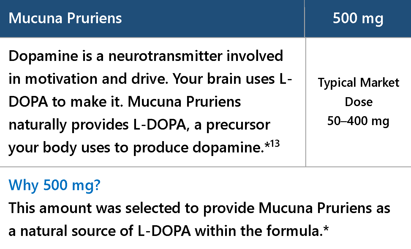 Mucuna Pruriens, 500 mg per serving.