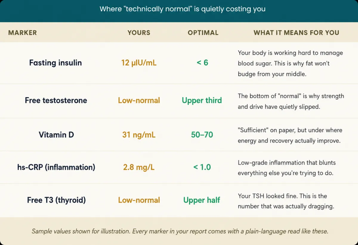 Sample Report