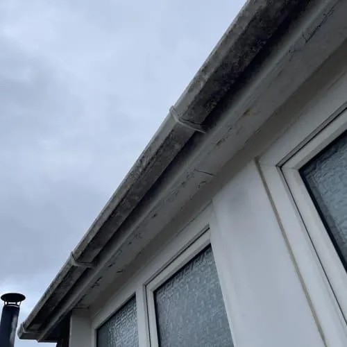 Budleigh Salterton Gutter Cleaning