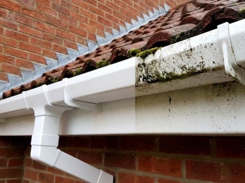 Soffit & Fascia Cleaning in Exmouth