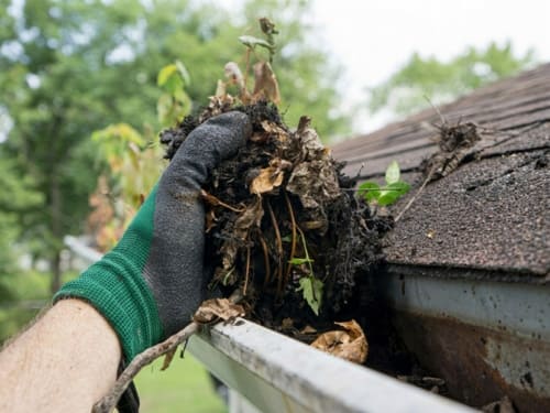 Gutter Cleaning in Exmouth