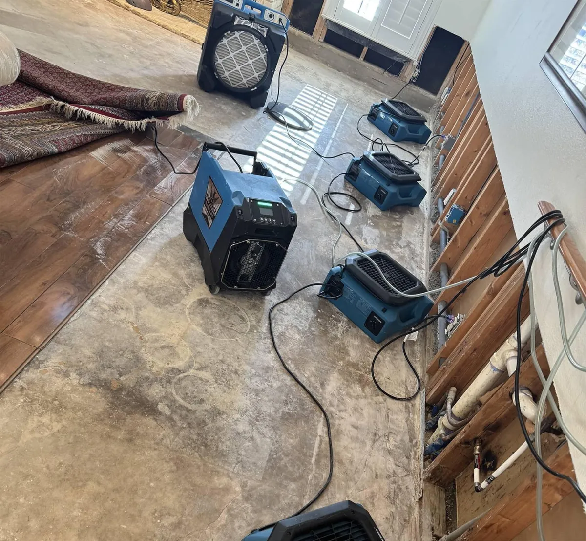 Family-Owned, Women-Owned Business You Can Trust