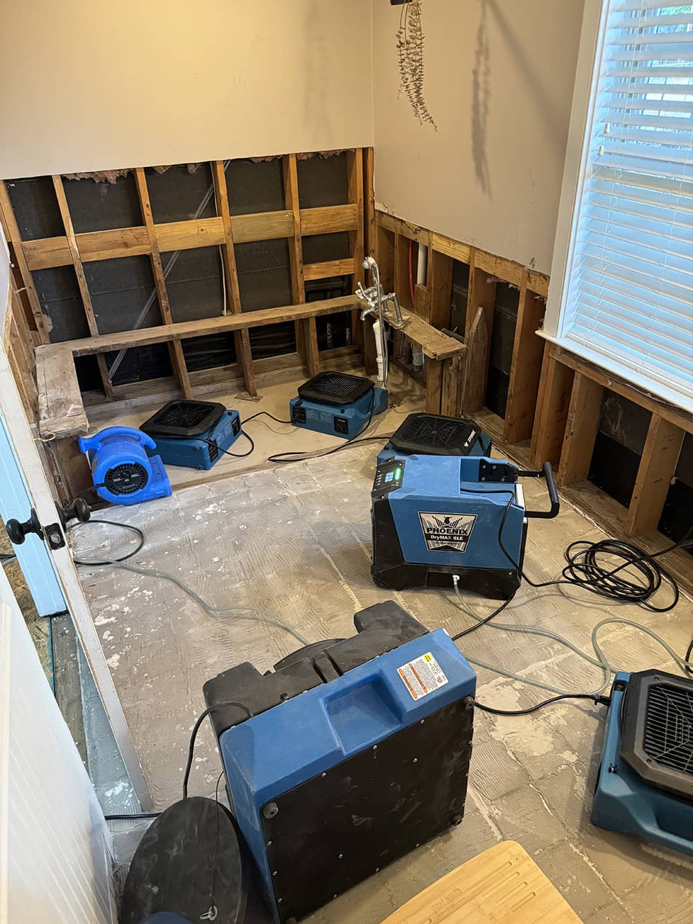 Local Experts Who Put Your Safety First