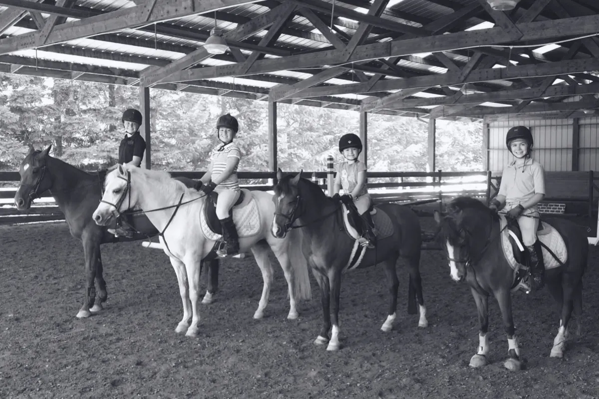 Horse Riding Lessons in Omaha, NE