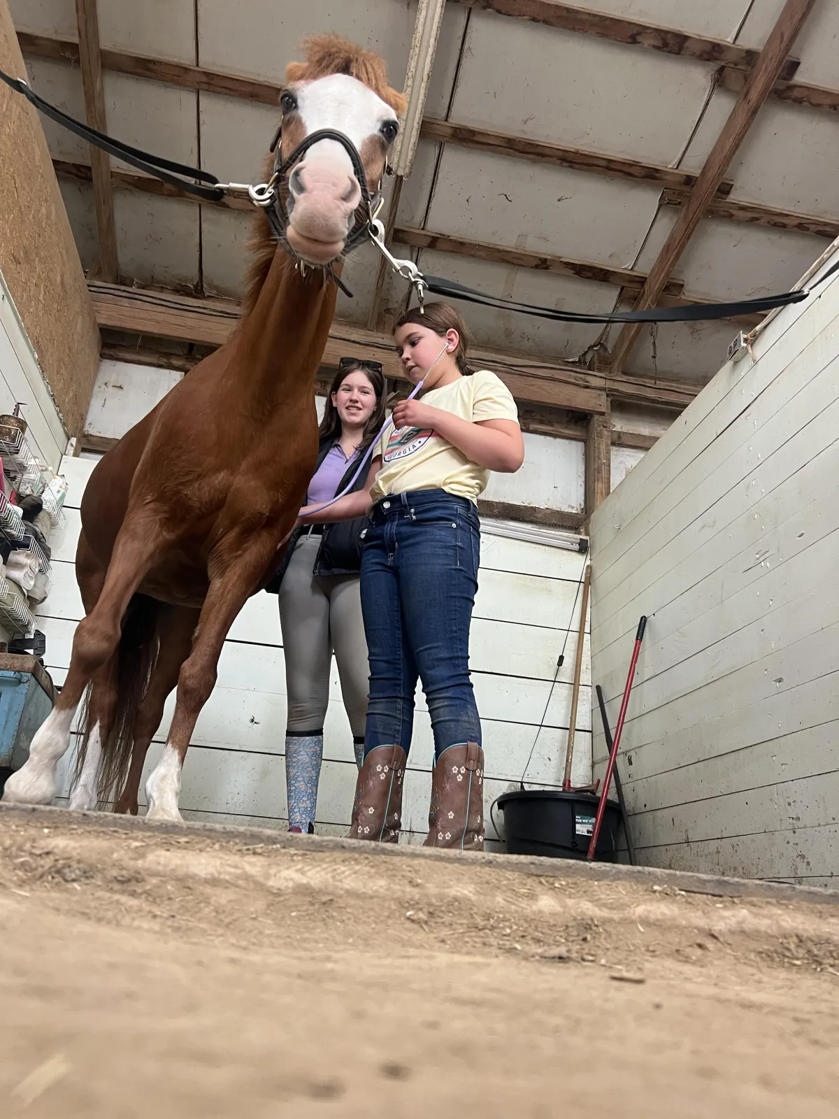 Summer Camps in Omaha, Nebraska