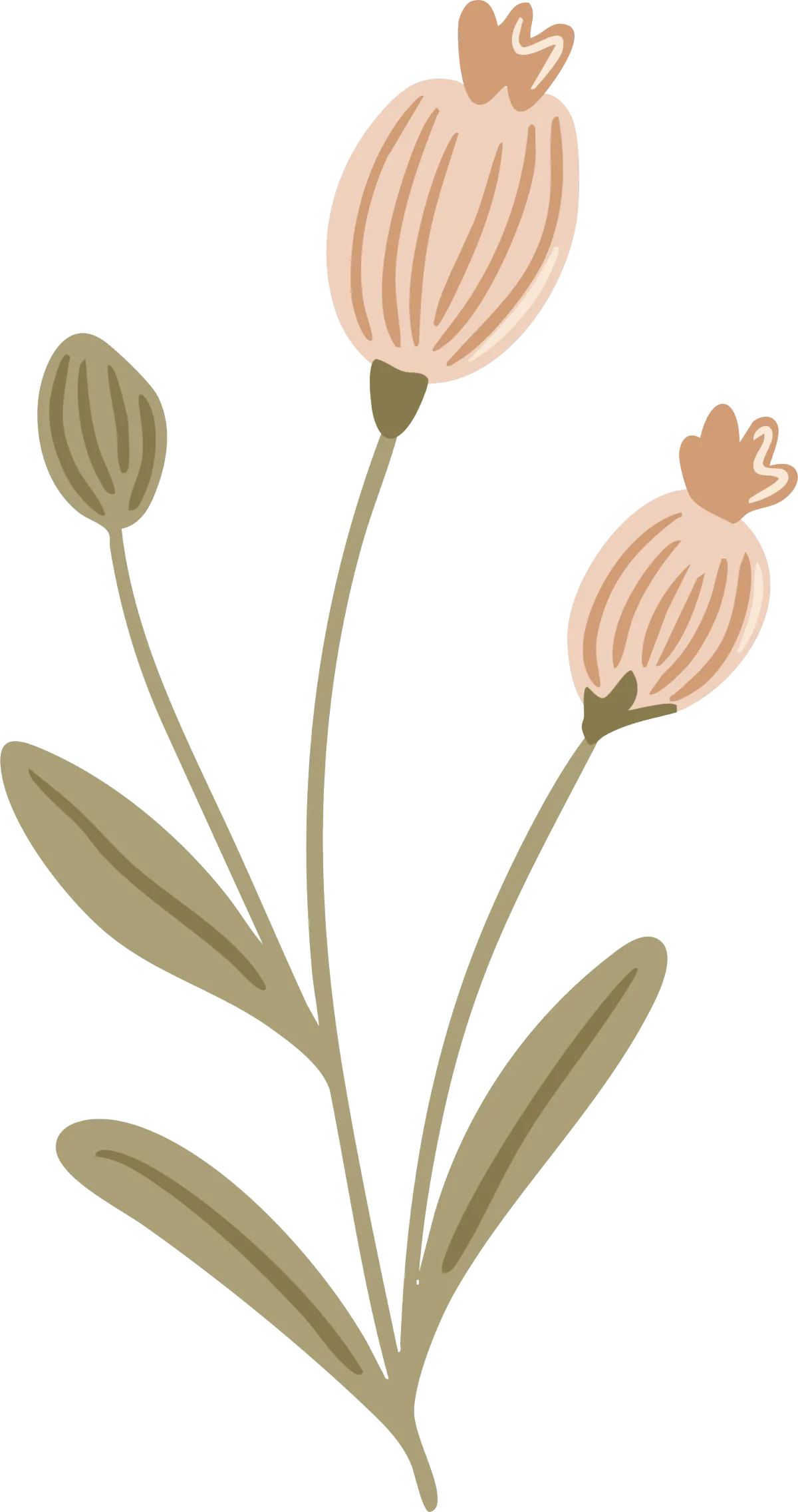 Line-art botanical sketch