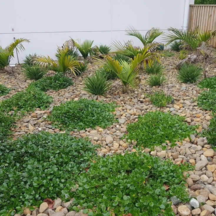 Weed spraying and control in a backyard garden