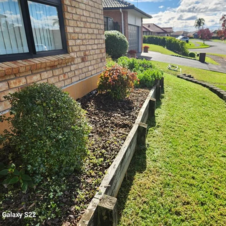 Green waste removal and yard cleaning in Auckland