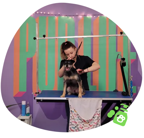 Dog grooming session at Littlest Paws Club E10 Leyton