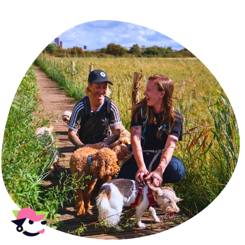 Dog walking service Leyton E10 East London