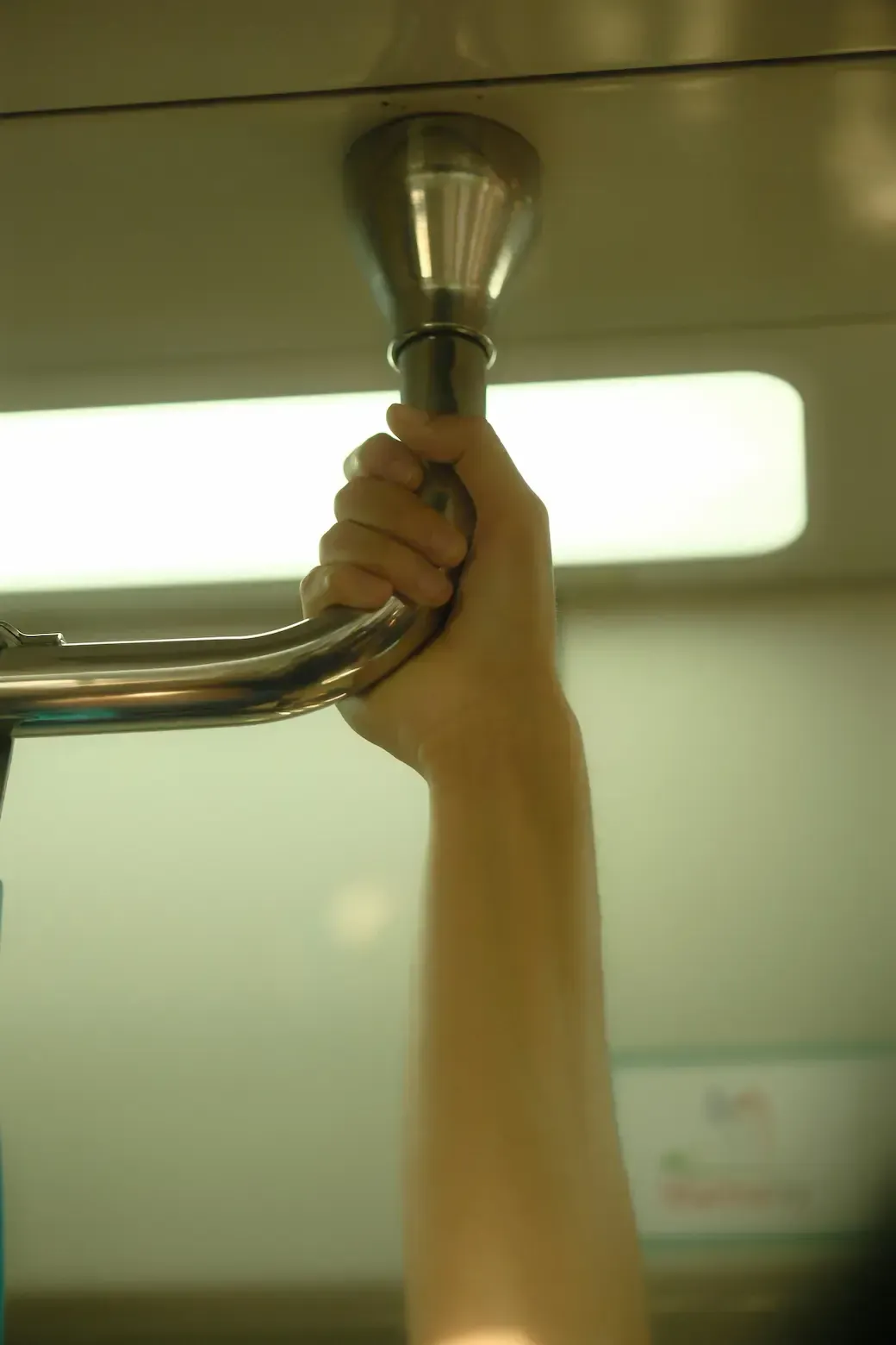 Grab Bars Support for Everyday Use