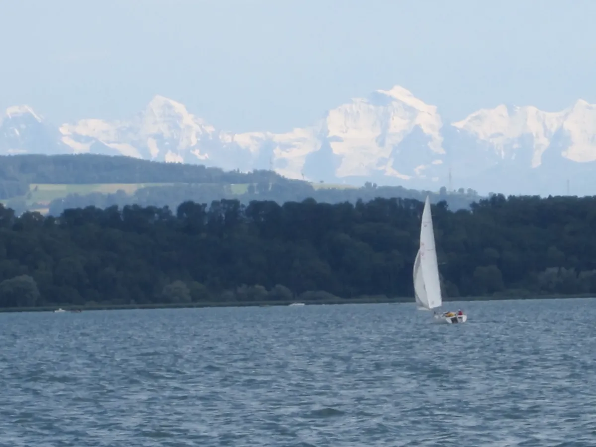 Founder's remembered childhood lakeside view in Switzerland — soft morning light, mist over water, lush evergreens, slightly desaturated photographic style to convey history and origin.