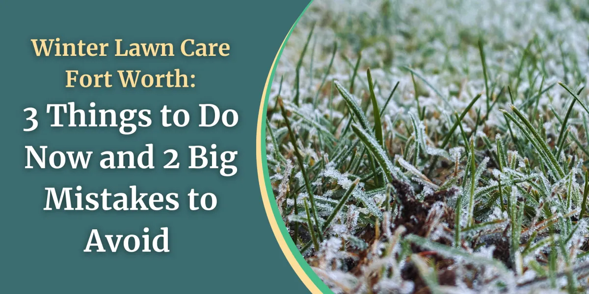 Winter Lawn Care Fort Worth: 3 Things to Do Now and 2 Big Mistakes to Avoid