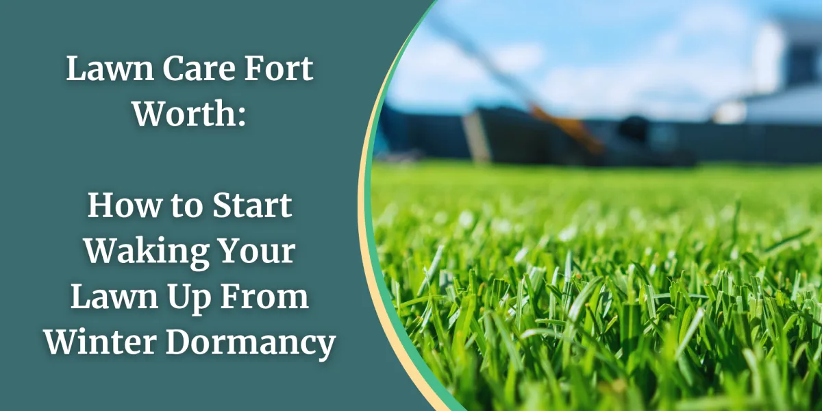 Lawn Care Fort Worth: How to Start Waking Your Lawn Up From Winter Dormancy