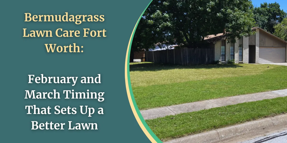 Bermudagrass Lawn Care Fort Worth: February and March Timing That Sets Up a Better Lawn