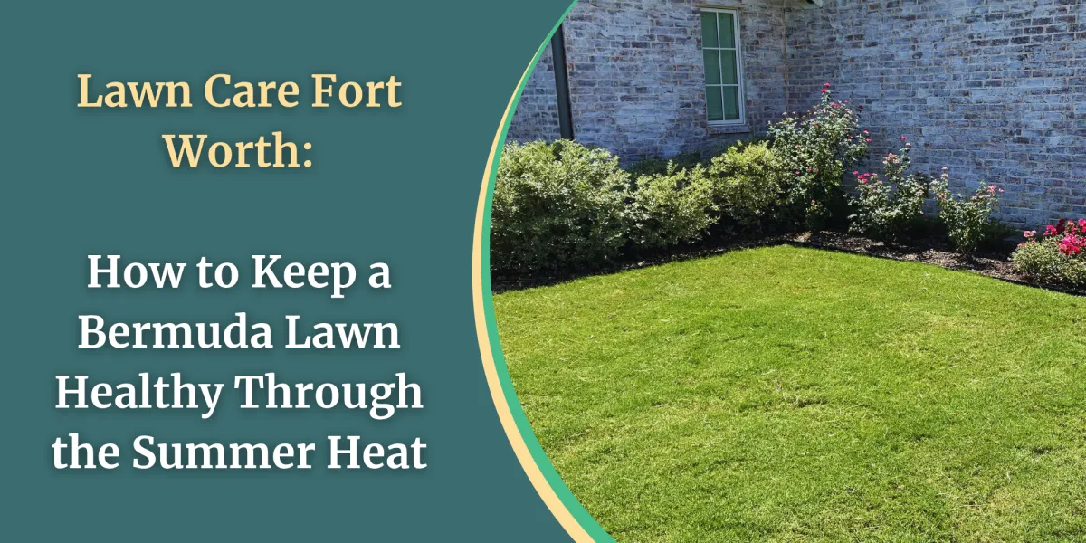 Lawn Care Fort Worth: How to Keep a Bermuda Lawn Healthy Through the Summer Heat
