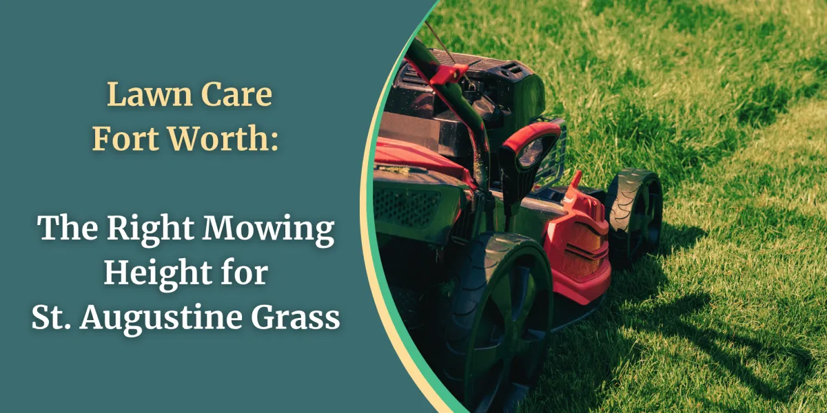 Lawn Care Fort Worth: The Right Mowing Height for St. Augustine Grass
