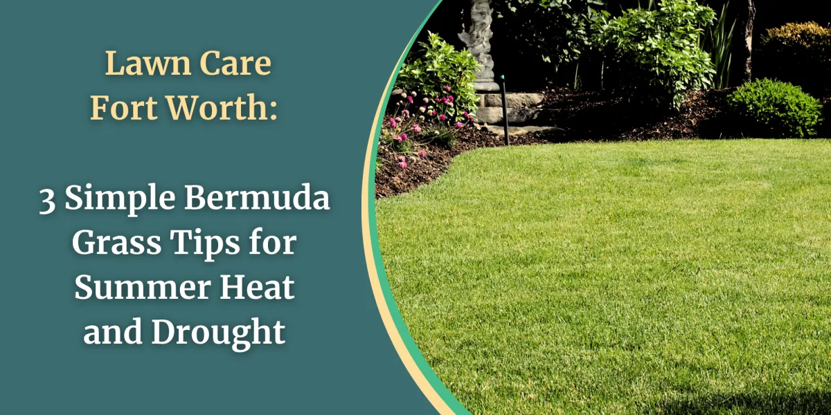 Lawn Care Fort Worth: 3 Simple Bermuda Grass Tips for Summer Heat and Drought