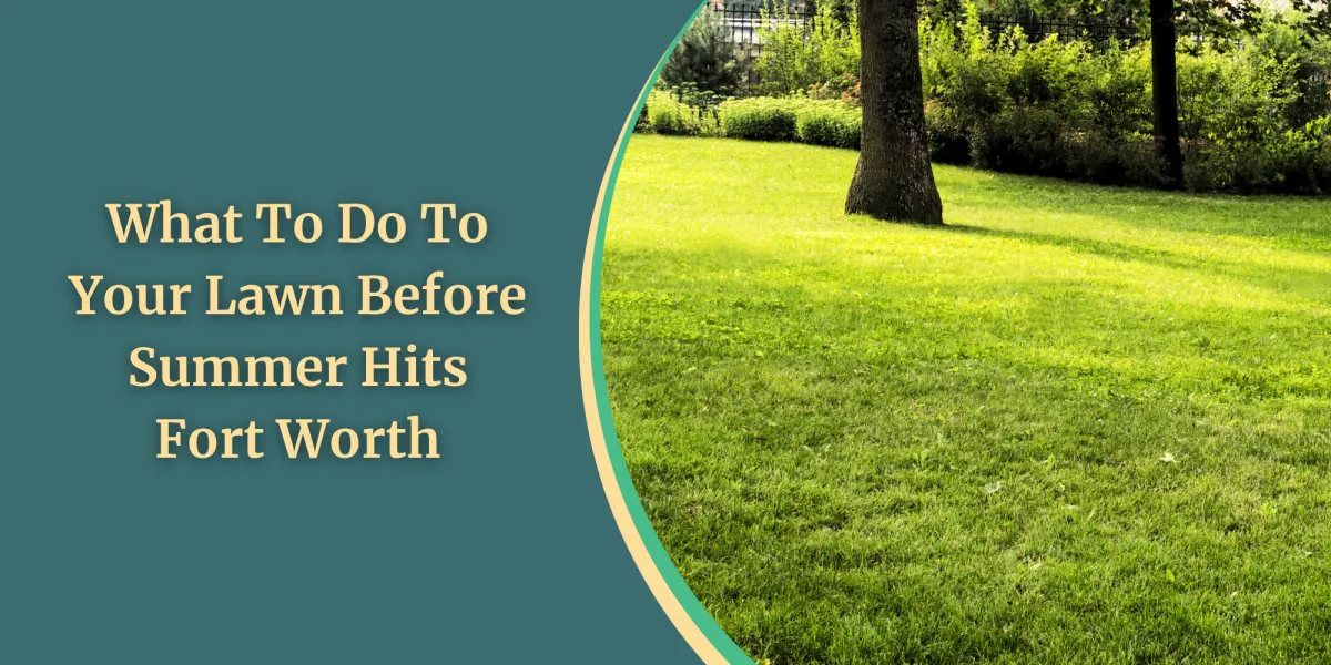 What To Do To Your Lawn Before Summer Hits Fort Worth