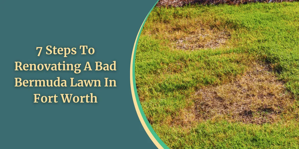 7 Steps To Renovating A Bad Bermuda Lawn In Fort Worth
