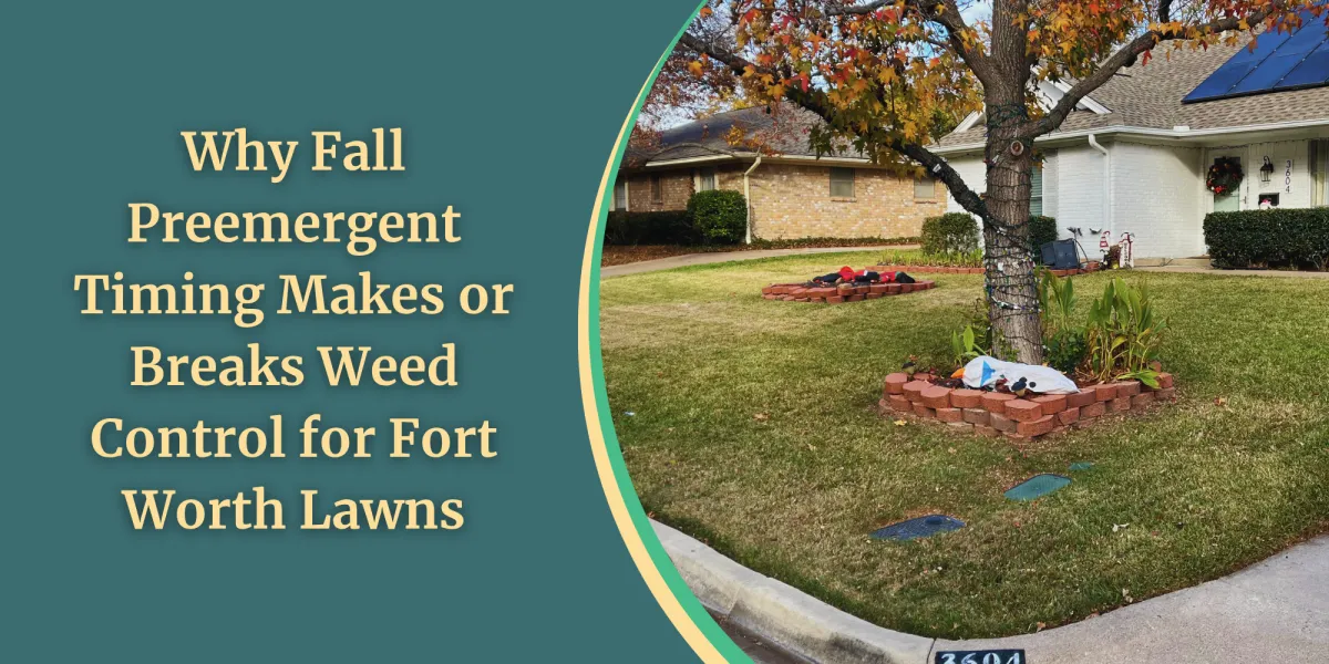 Why Fall Preemergent Timing Makes or Breaks Weed Control for Fort Worth Lawns