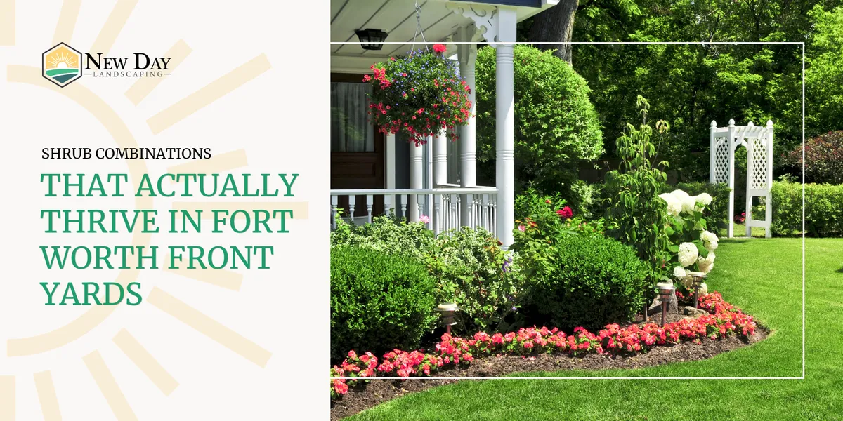 4 Shrub Combinations That Actually Thrive in Fort Worth Front Yards