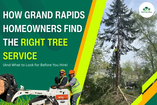 How Grand Rapids Homeowners Find the Right Tree Service (And What to Look for Before You Hire)