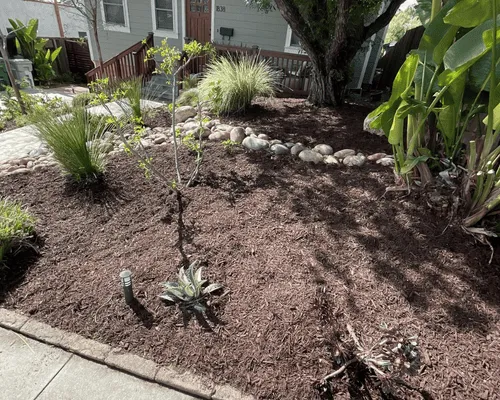 Irrigation & Planting in San Diego