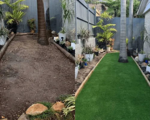 Tree Services San Diego