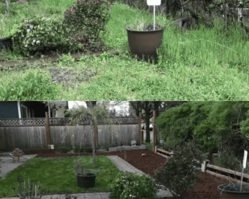 San Marcos Tree Services