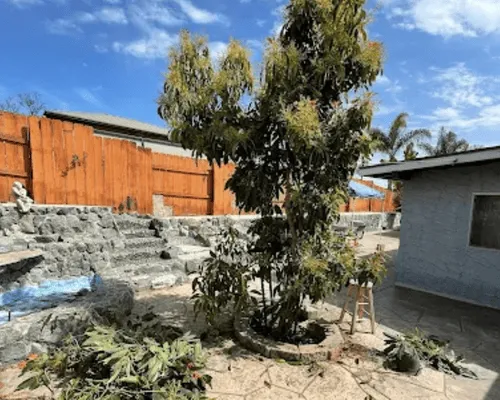  Tree Trimming & Pruning