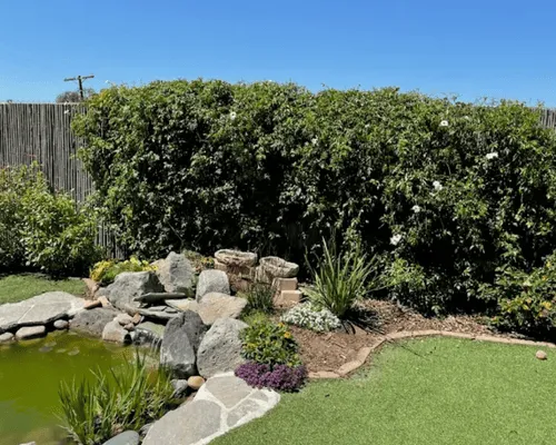Artificial Turf San Diego