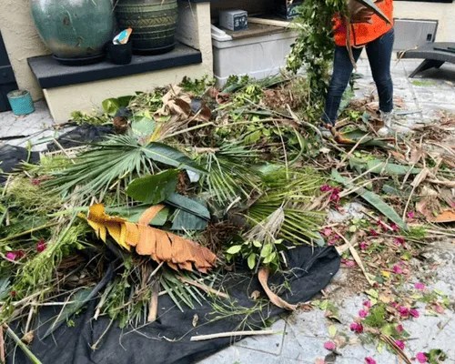 Brush Removal & Land Clearance San Diego