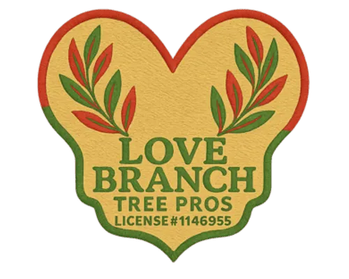 Tree & Landscaping Services San Diego