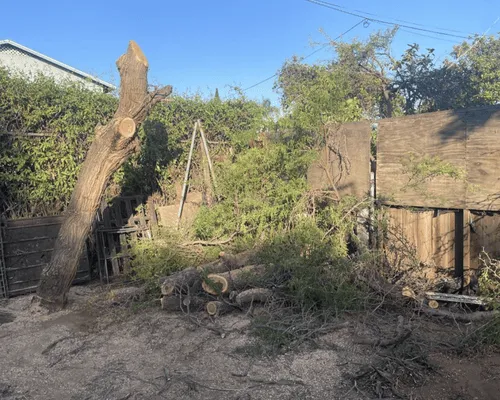 Chula Vista Brush Removal & Land Clearance