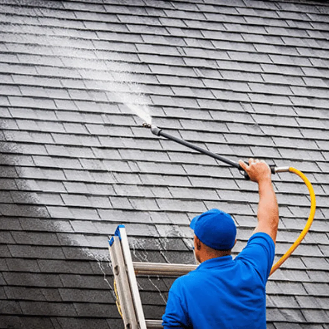 soft washing Lusby MD, house washing Lusby MD, roof washing Lusby MD, siding cleaning Lusby MD, soft washing Southern Maryland, soft washing Calvert County, roof cleaning Southern Maryland