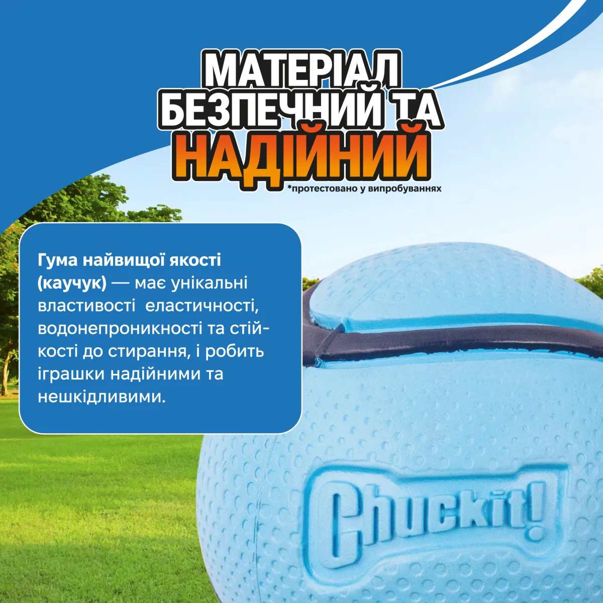 Мʼяч для собак | з ароматом бекону | Розмір М – Image 4