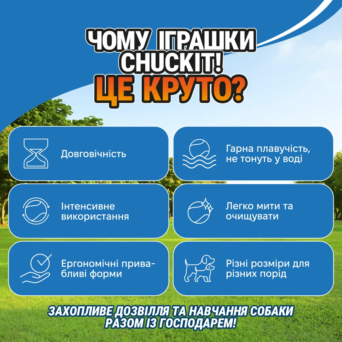 Палиця для собак | Світиться у темряві | One Size – Image 6