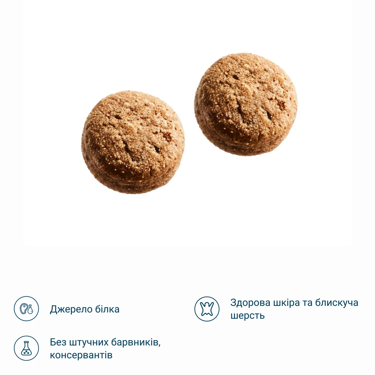Сухий корм зі смаком атлантичного лосося – Image 3