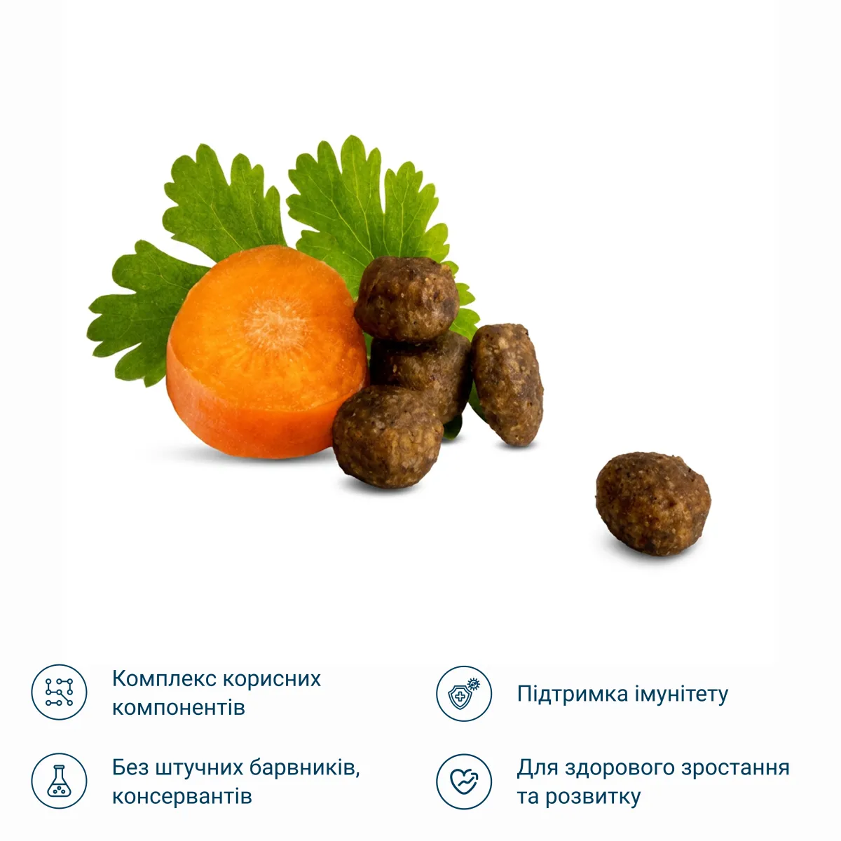 Сухий корм для молодих котів зі смаком м'яса птиці – Image 2