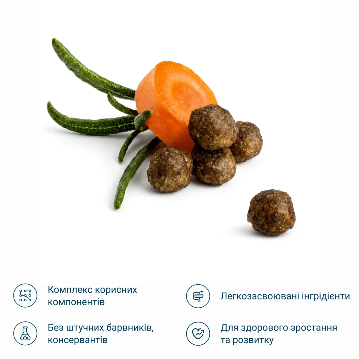Сухий корм для кошенят зі смаком м'яса птиці 4кг – Image 2
