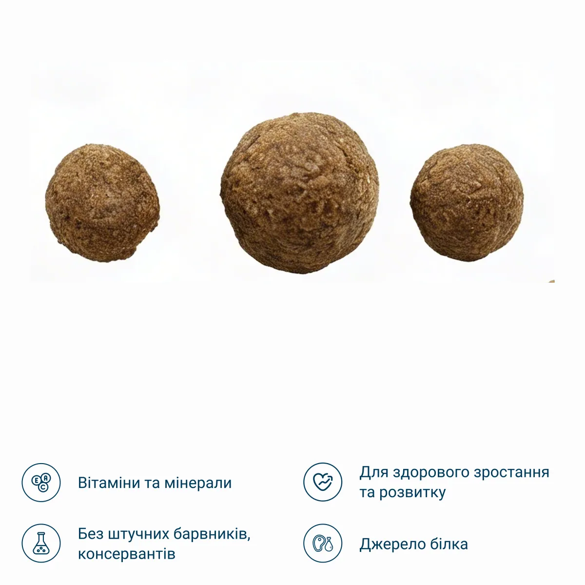 Сухий корм для молодих котів з 4 місяців зі смаком птиці – Image 2