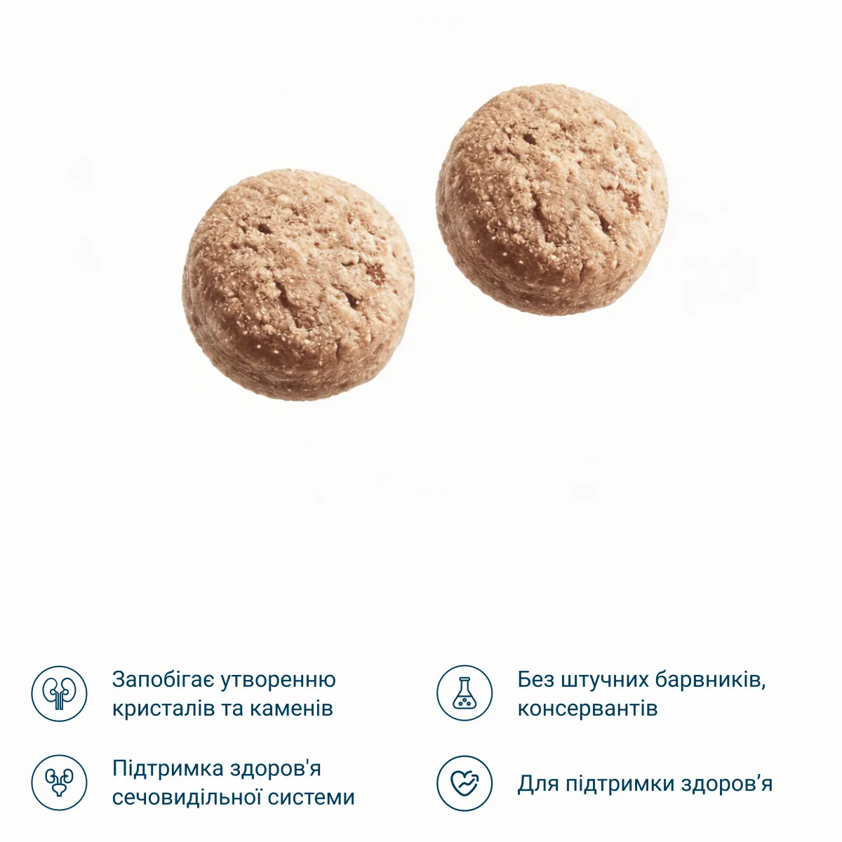 Сухий корм для профілактики сечо-кам'яних хвороб котів з птицею – Image 2