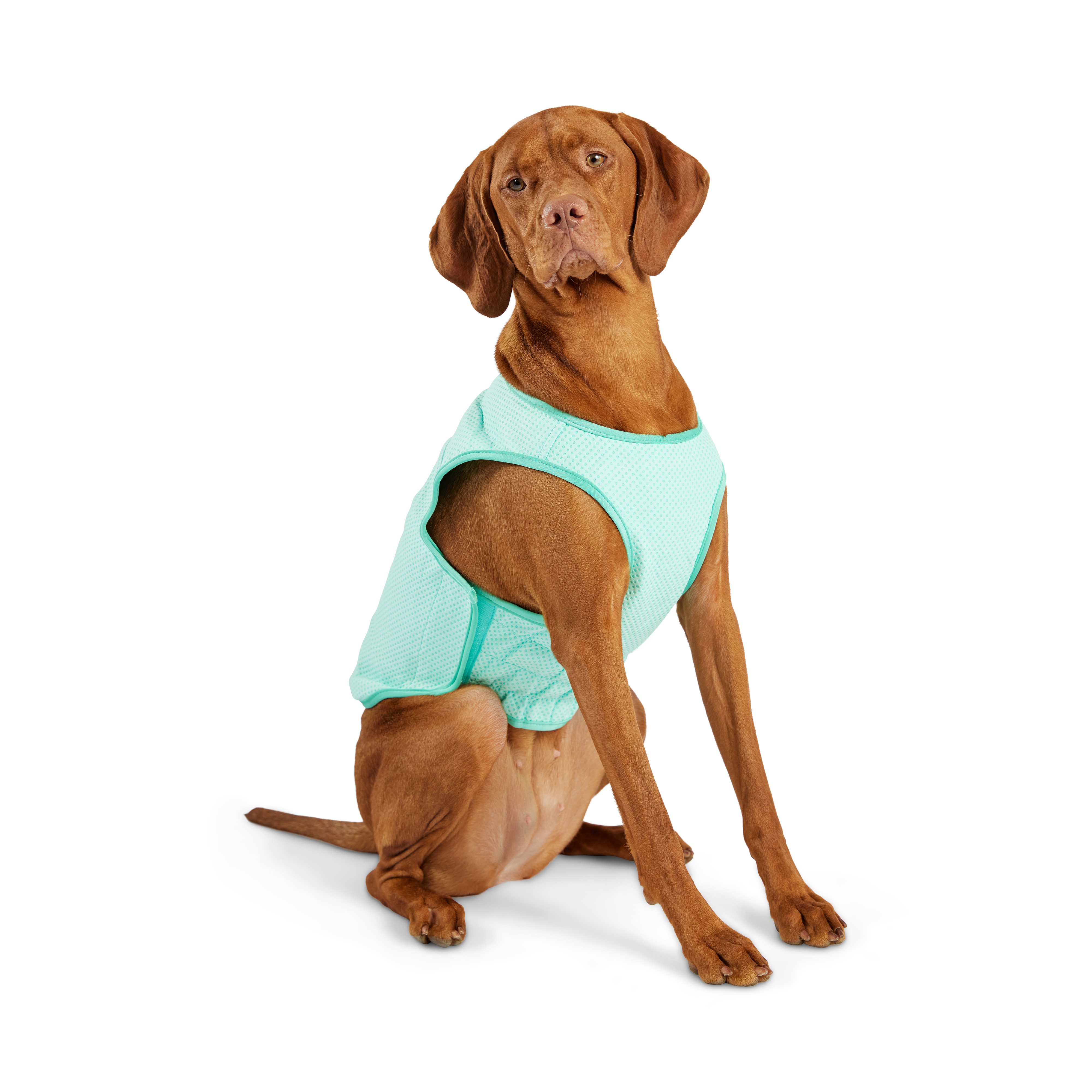 GF Pet Охолоджувальний жилет для собак – 2XL
