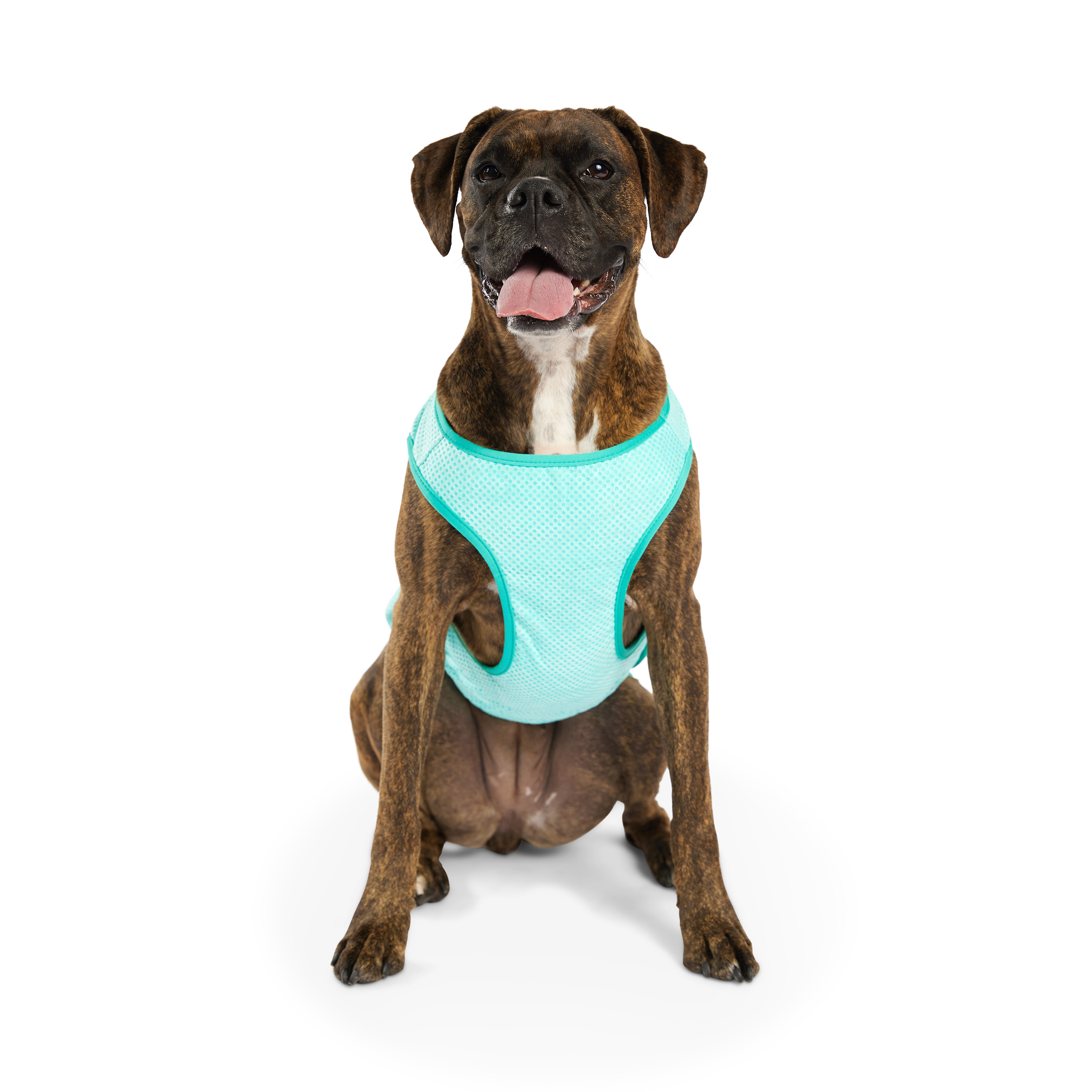 GF Pet Охолоджувальний жилет для собак – 3XL